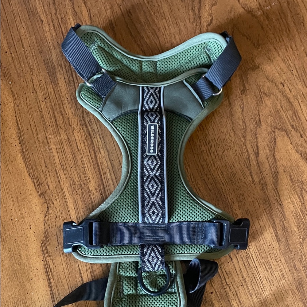 Ruffwear Green Padded Mesh Dog Harness - Comfortable No-Pull Design